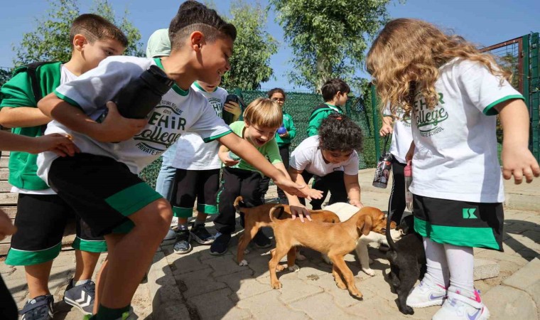 Buca Belediyesi, miniklere hayvan sevgisi aşılıyor