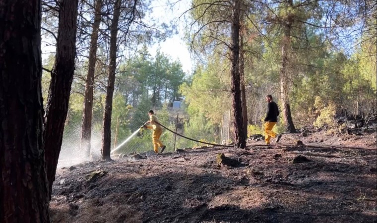 Burdurda orman yangını ekiplerin hızlı müdahalesi ile söndürüldü