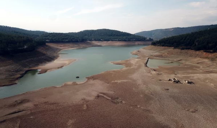 Bursa’da kuruyan sulama barajında, koyun ve keçiler otluyor