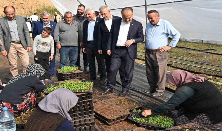 Bursanın çiçekleri, dağ bölgesinde açıyor