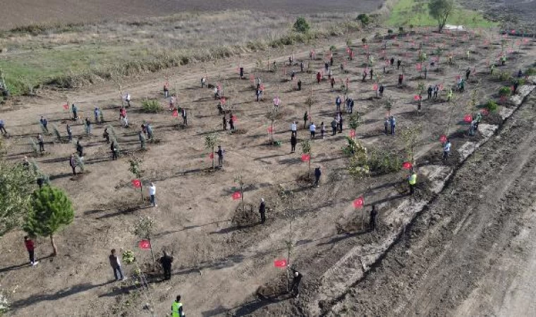 Büyükçekmece’de ‘100. Yıl Cumhuriyet Ormanı’ oluşturuldu