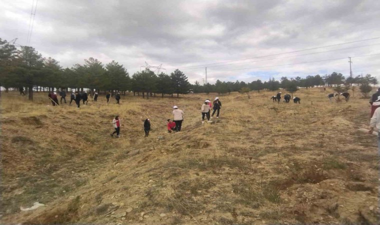 Büyükşehir, Bünyanda öğrencilerle bin adet ağaç dikti