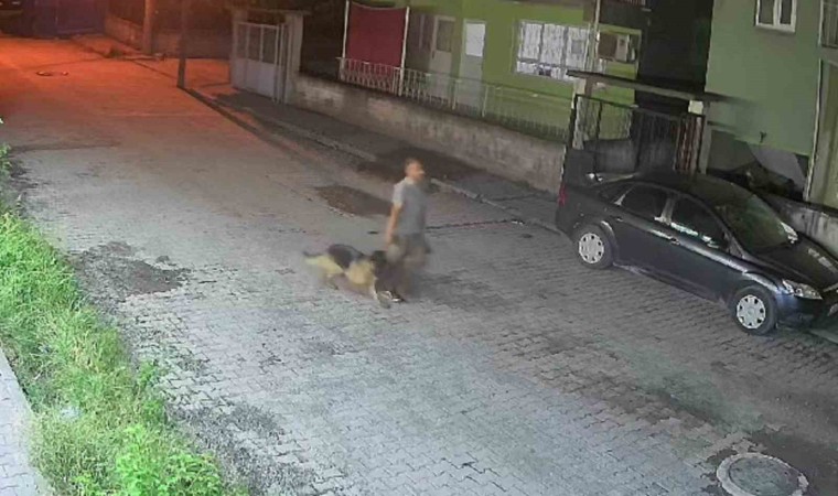 Çaldığı köpekle sokakta salına salına gezen şahıs, polis ekiplerinden kaçamadı