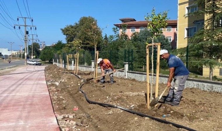 Canikte parklar ağaçlandırılıyor