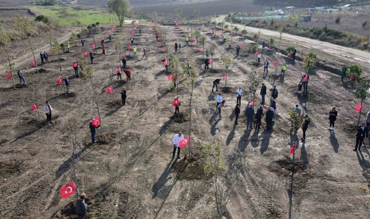 Cumhuriyetin 100. yılı anısına “100. Yıl Cumhuriyet Ormanı” oluşturuldu