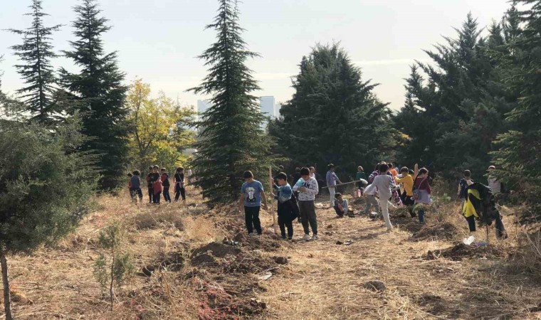 Cumhuriyetin 100. yılında 100 bin fidan etkinliği