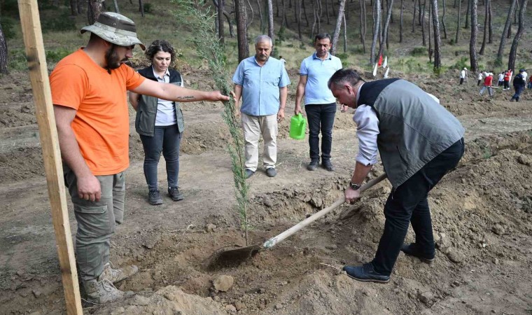 Cumhuriyetin 100üncü yılında 1923 fidan dikildi