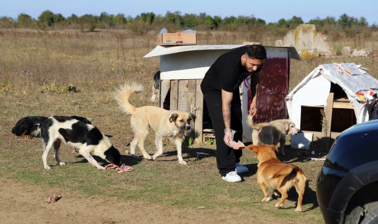 Daha sonra alacağız diyerek 80 köpeği boş araziye bıraktılar