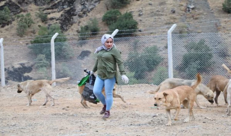 Depremde ölen Eda öğretmenin baktığı sokak köpeklerini kuaför Fadime besliyor