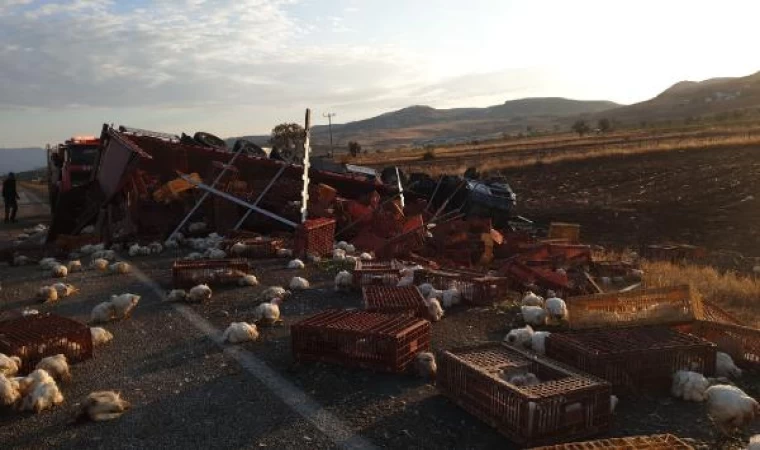 Devrilen TIR alev aldı; şoför yaralı, çok sayıda tavuk öldü