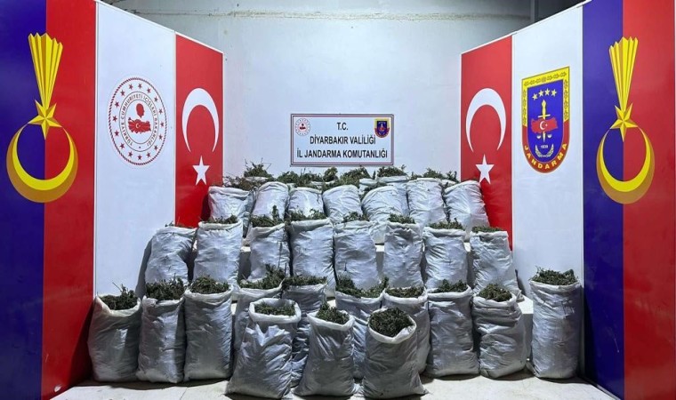 Diyarbakırda 10 bin kök kenevir ve 202 kilo esrar ele geçirildi