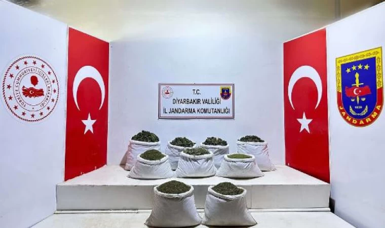 Diyarbakır’da 350 bin 620 kök Hint keneviri ve skunk bitkisi, 121 kilo esrar ele geçirildi