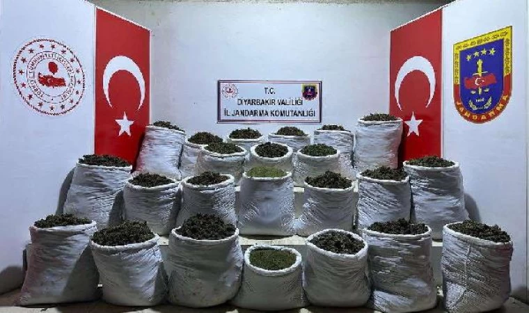 Diyarbakır’da 435 kilo esrar, 632 bin kök kenevir ile skunk ele geçirildi: 3 gözaltı