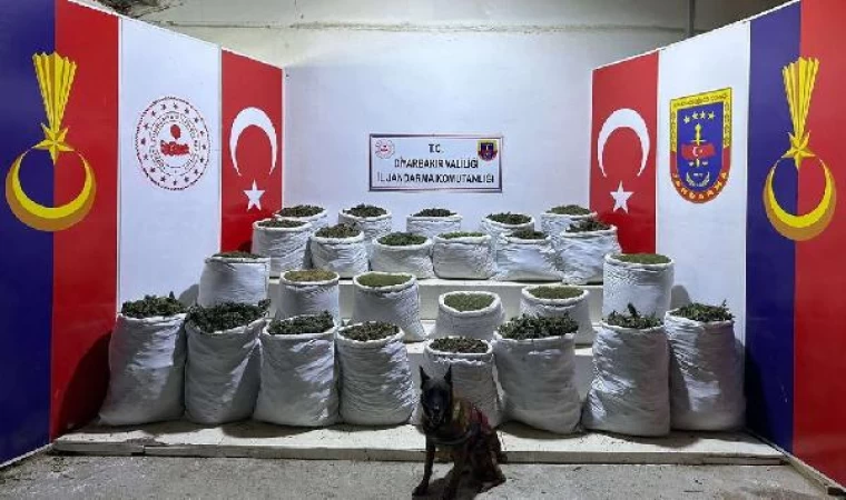 Diyarbakır’da, 603 kilo esrar ile 640 bin 600 kök Hint keneviri ve skunk ele geçirildi