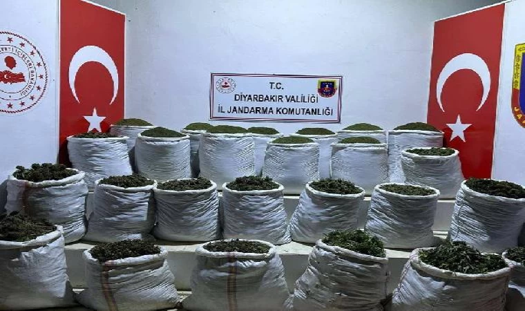 Diyarbakır’da 783 kilo esrar, 23 bin kök Hint keneviri ve skunk bitkisi ele geçirildi