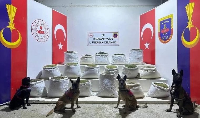 Diyarbakır’da 864 kilogram esrar ve 2 milyon kök Hint keneviri ele geçirildi