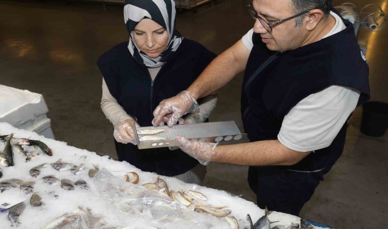 Diyarbakırda balık satış yerleri denetlendi