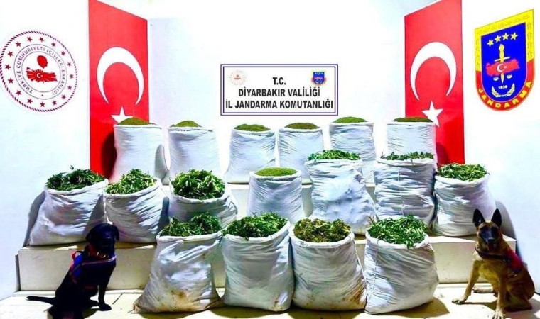 Diyarbakırda uyuşturucu operasyonu: 285 kilo esrar ele geçirildi