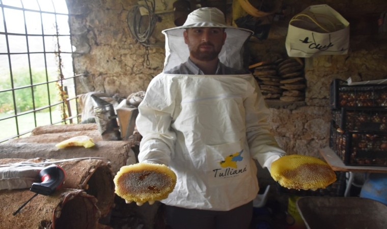 Dünyaca ünlü Bitlis kara kovan balının hasadına başlandı