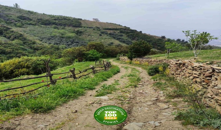 Efeler Yolu, En İyi 100 Hikâye listesinde