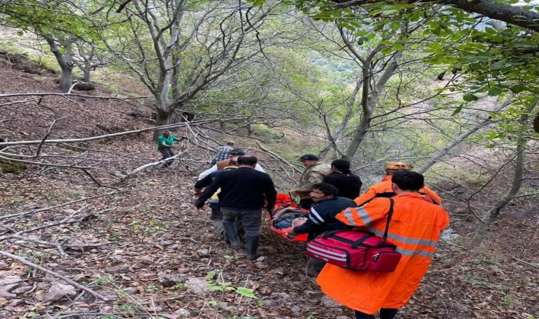 Ekipler ağaçtan düşen adam için seferber oldu