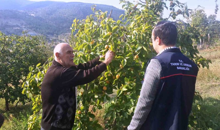 Emette çiftçilere meyve ağaçlarında bitki sağlığı ile ilgili mücadele yöntemleri anlatıldı