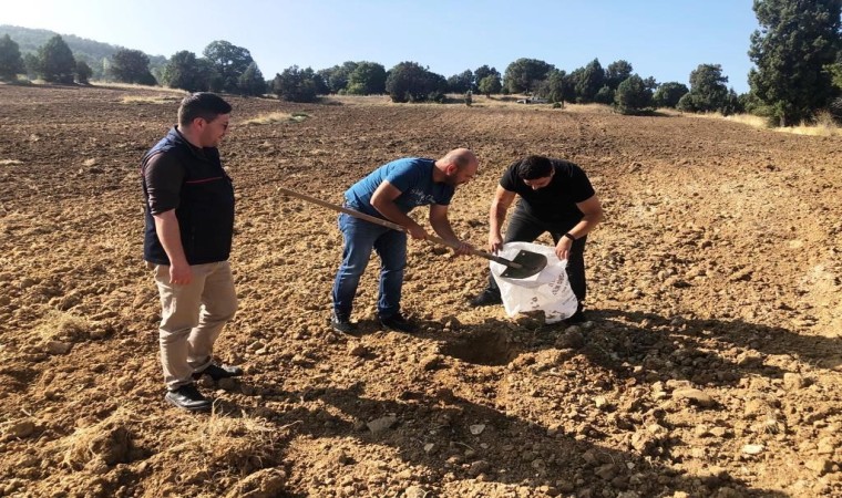 Emette üreticilerin toprak analizi talepleri yerine getiriliyor