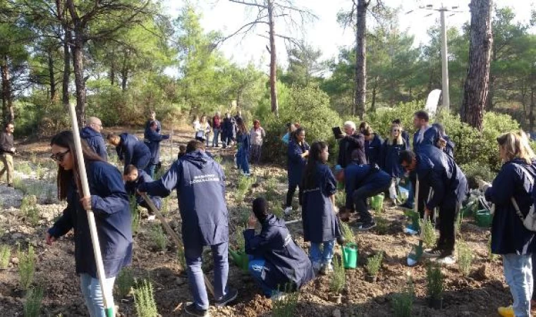 Enerjisa Üretim’den Çanakkale’deki arıcılara ekipman ve fidan desteği