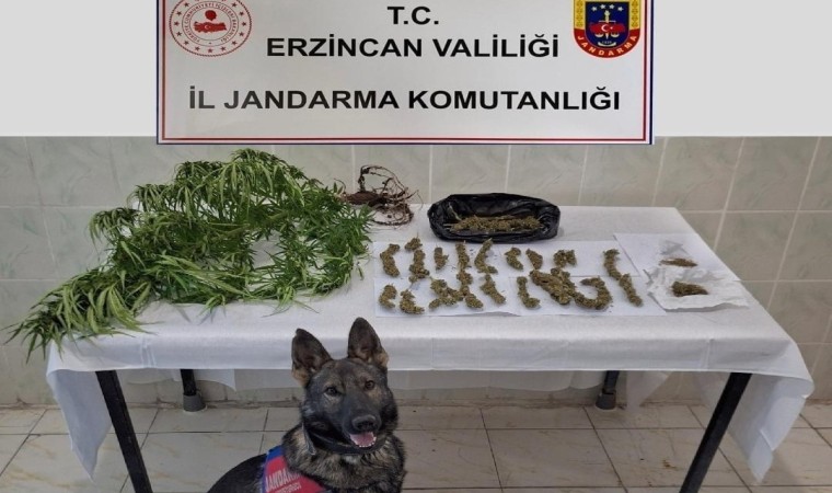 Erzincanda jandarma ekipleri suça geçit vermiyor