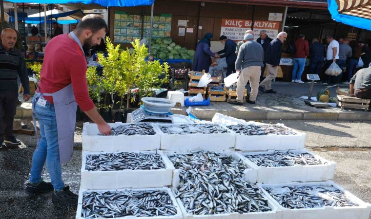 Erzincanda tezgahlarda hamsi bolluğu