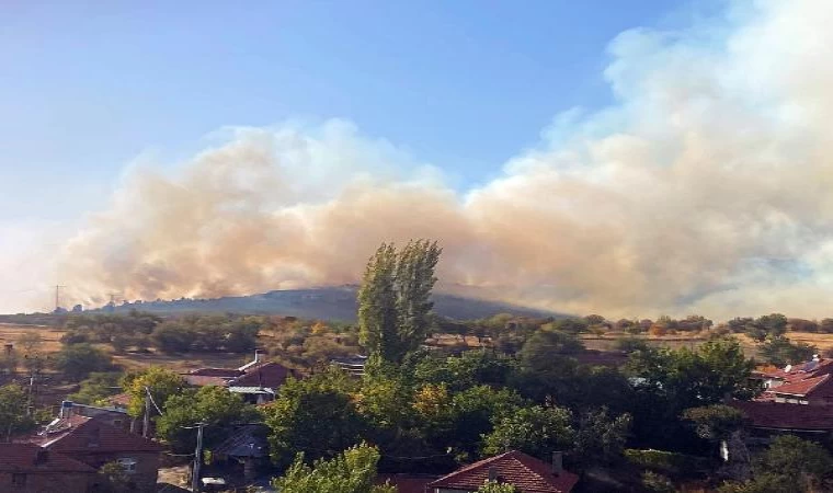 Eskişehir’de orman yangını