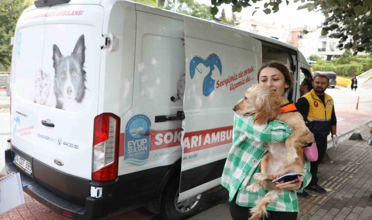 Eyüpsultanda Sokak Hayvanları Ambulansı hizmete devam ediyor