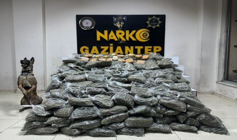 Gaziantepte 170 kilogram skunk ele geçirildi