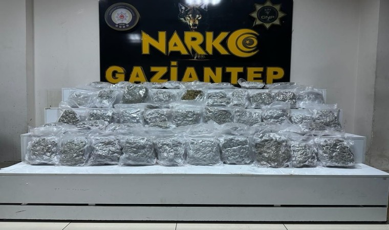 Gaziantepte 24 kilo skunk ele geçirildi