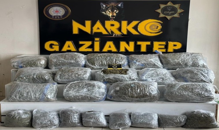 Gaziantepte 78 kilogram skunk ele geçirildi: 1 şahıs tutuklandı