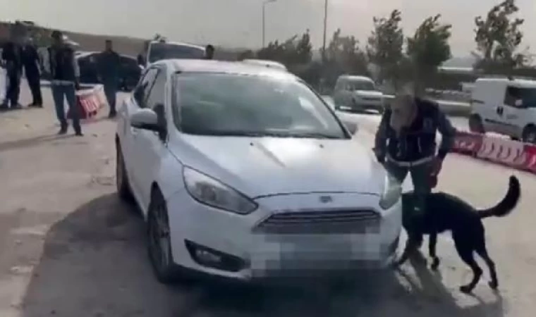 Gaziantep’te otomobilde 78 kilo skunk ele geçirildi