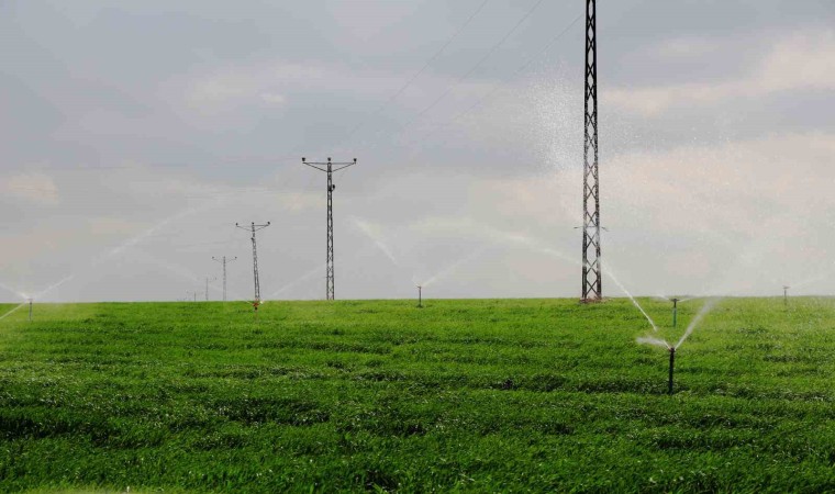 Güneydoğuda enerji şirketinden faturalarını ödemeyen abonelere uyarı