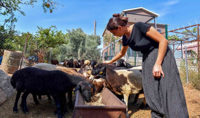 ‘Hadi gel köyümüze destek verelim projesi büyümeye devam ediyor