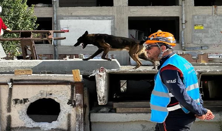 Hassas burunlara zorlu sınavla sertifika