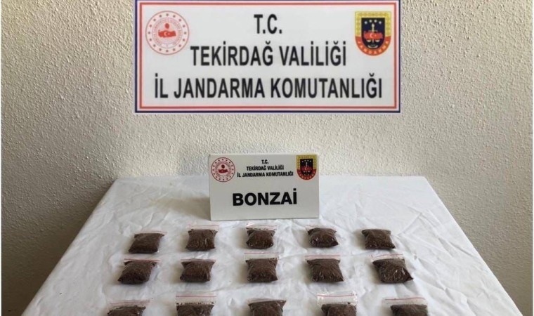 İstanbuldan bonzai getirirken yakalandı