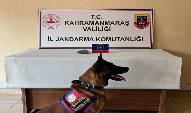 Kahramanmaraşta uyuşturucu sattığı öne sürülen 3 şüpheli gözaltına alındı