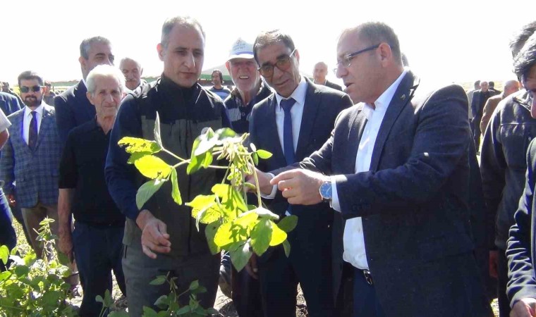 Karsta ilkkez ekilen soya fasulyesi hasadı yapıldı