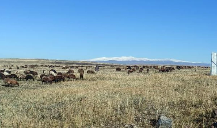 Kars’ta soğuk hava; araç camları buz tuttu, kırağı oluştu