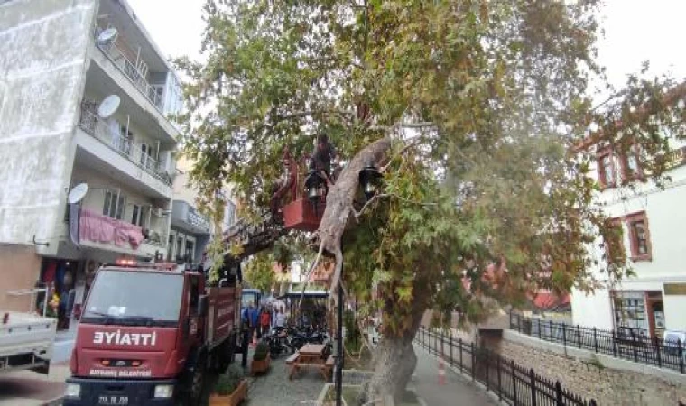 Kırılan dal aydınlatma direğine takıldı; olası faciadan dönüldü