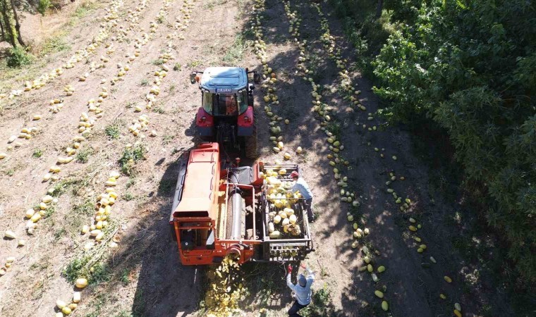 Konyada kabak çekirdeği eleme tesisi üreticiye kolaylık sağlıyor