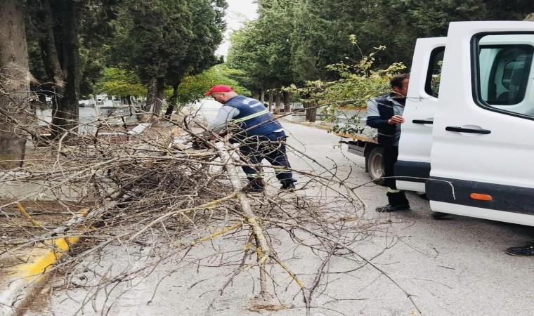 Körfezde mezarlıklara genel bakım