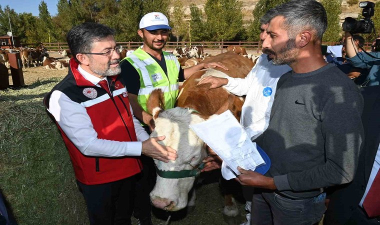 Malatyalı depremzedelere büyükbaş hayvan desteği