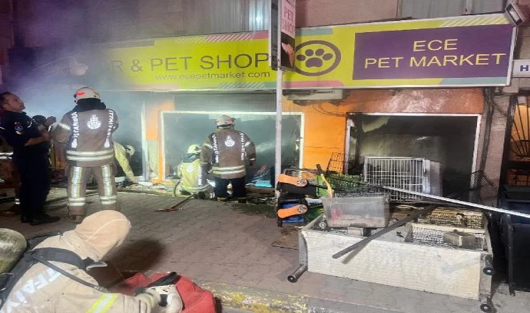 Maltepe’de petshopta yangın çıktı