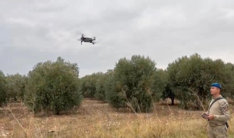 Manisada zeytin bahçelerini komandolar koruyor