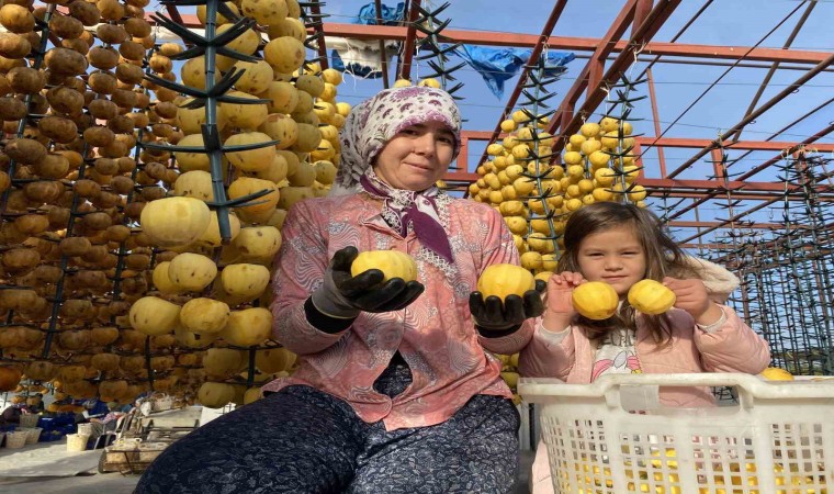 Manisadan dünyaya cennet hurması